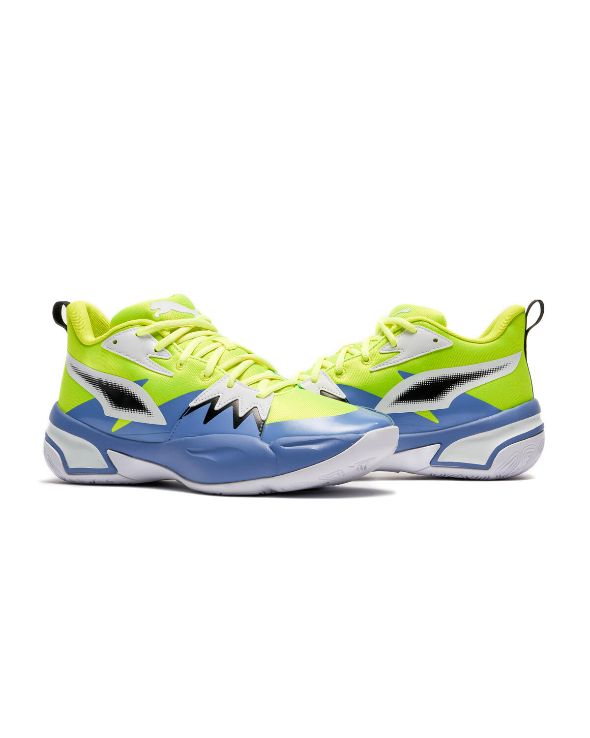 Puma Genetics